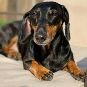 Meet your Posher, Matthew